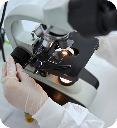 Endocrinologia e Metabologia-004